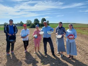 Pomaganie przez zbieranie fasoli.
