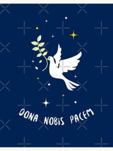 Dona Nobis w wykonaniu scholi z Parafii Łabunie